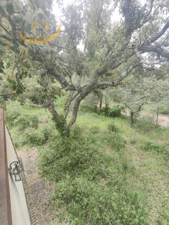 Terreni e lotti in vendita a Villablanca, imagen 19