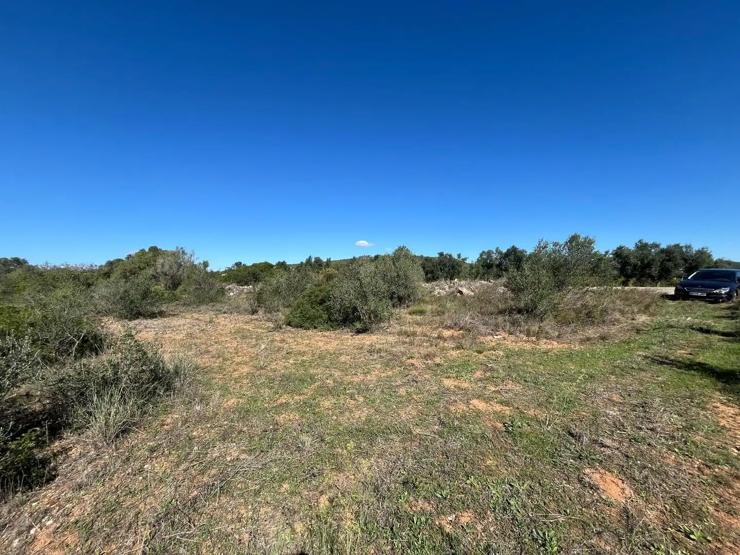 Terreno rústico en venta en Bonastre, imagen 3