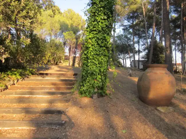 Jardín de Finca rústica en venta en Castellar del Vallès con Jardín privado, Terraza y Piscina