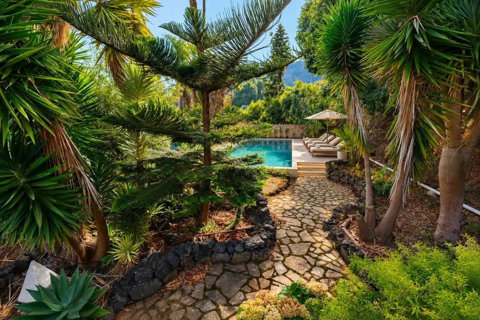 Maison rustique avec jardin à vendre à La Perdoma - San Antonio - Benijos, imagen 16
