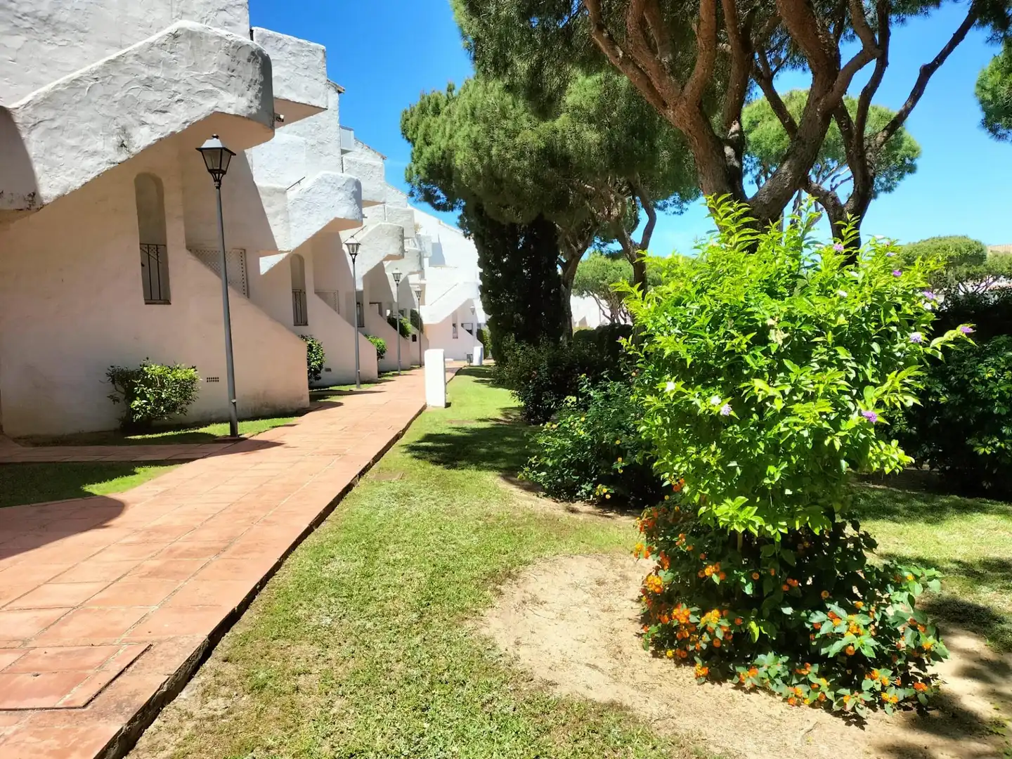 Apartment to rent in Sancti Petri, imagen 3