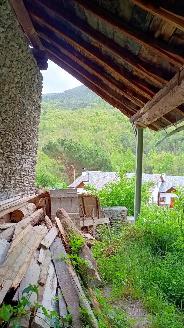 Jardín de Finca rústica en venta en Alins con Jardín privado