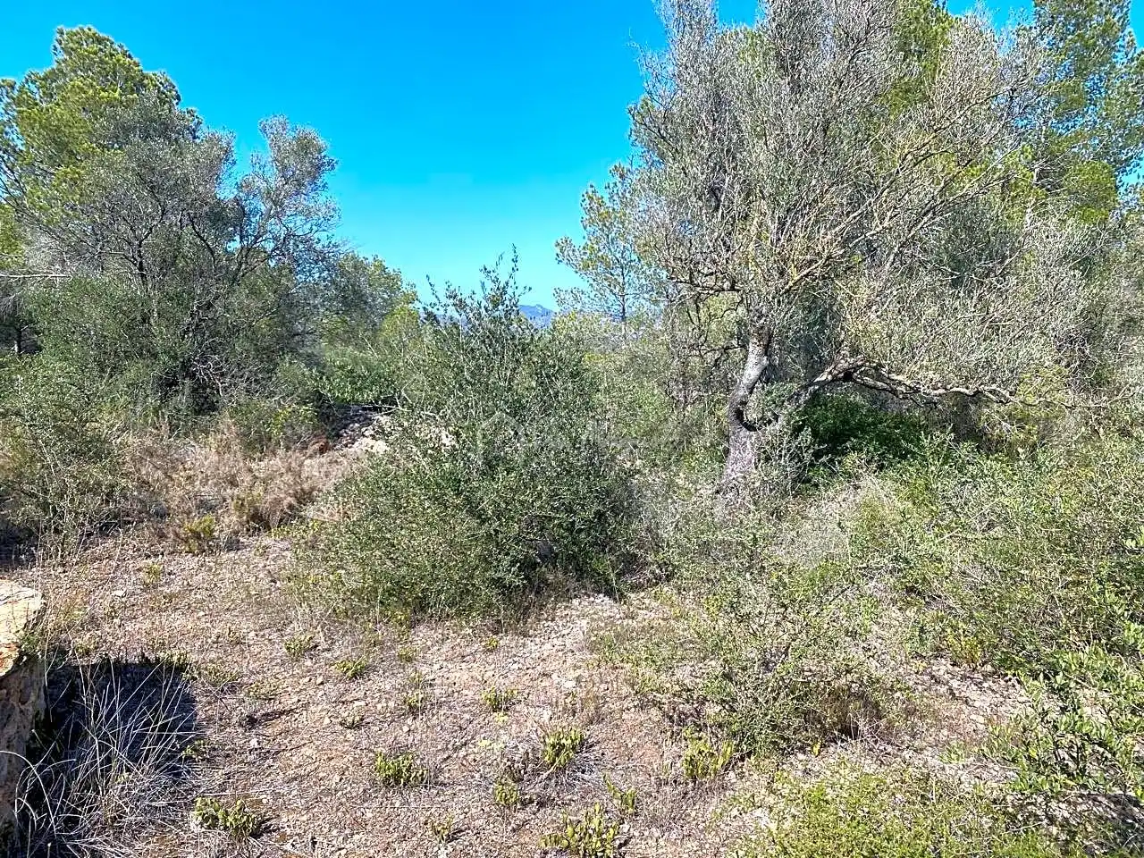 Terreno en venta en Planes, Rasquera