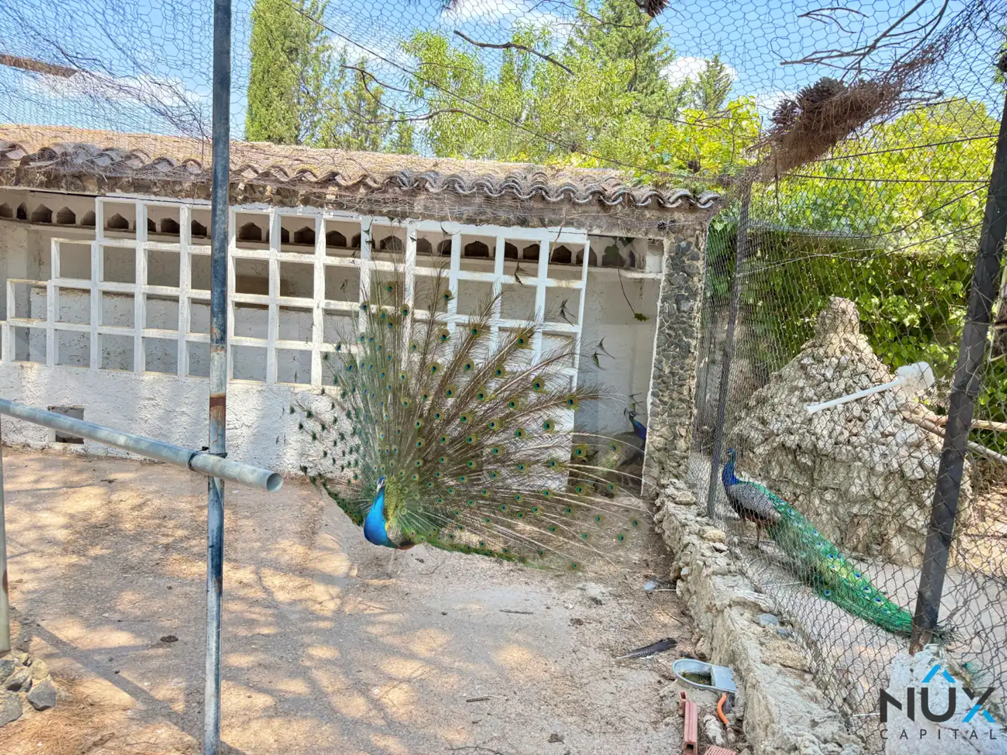 Casa o xalet en venda a N-330, Cofrentes
