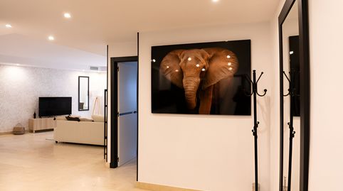 Apartamento en planta baja en venta en la Milla de Oro, Bild 4