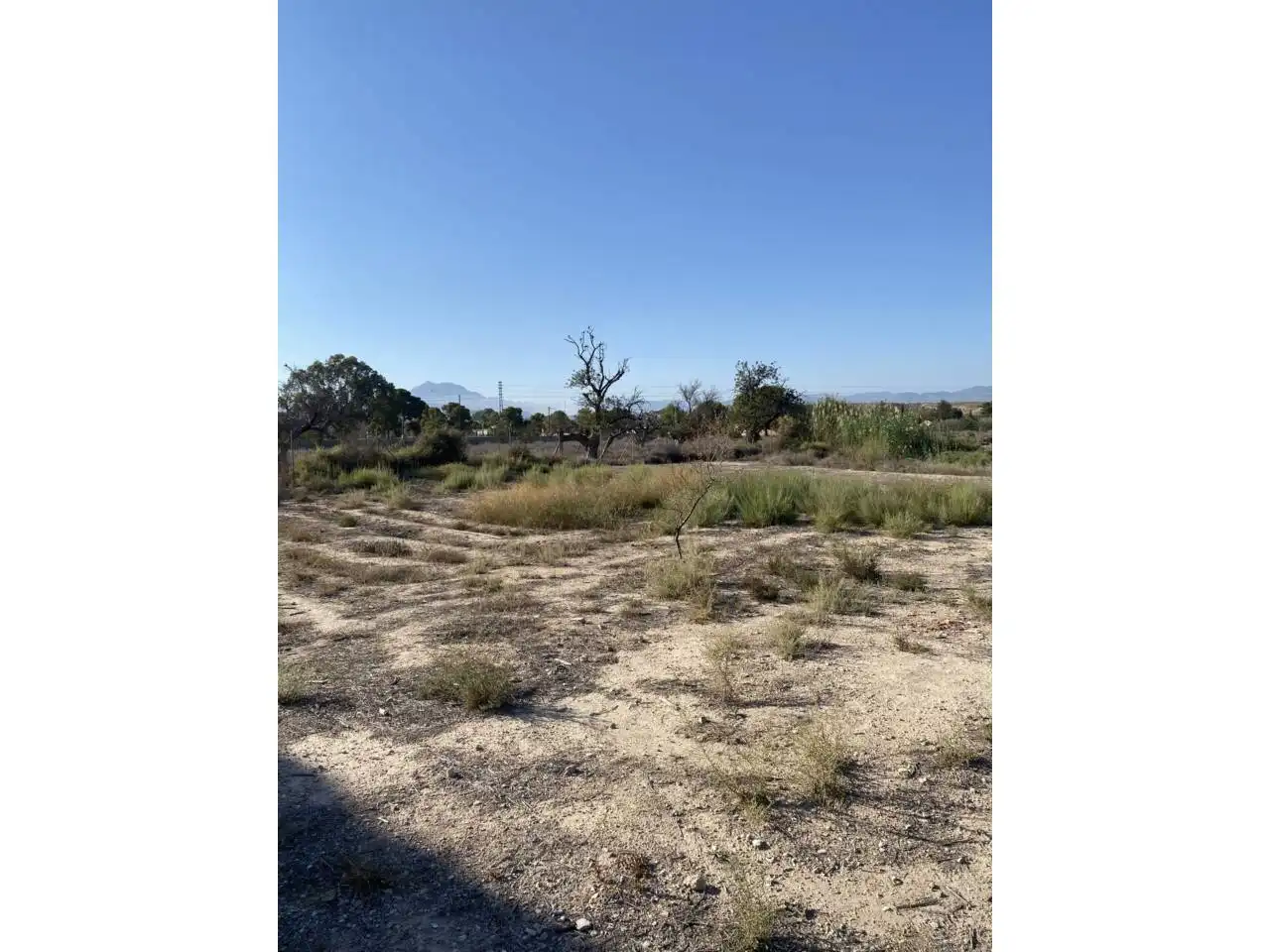 Finca rústica en venta en Mutxamel con Jardín privado