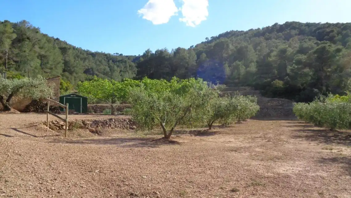 Terreno rustico in vendita a PESOLS, imagen 3