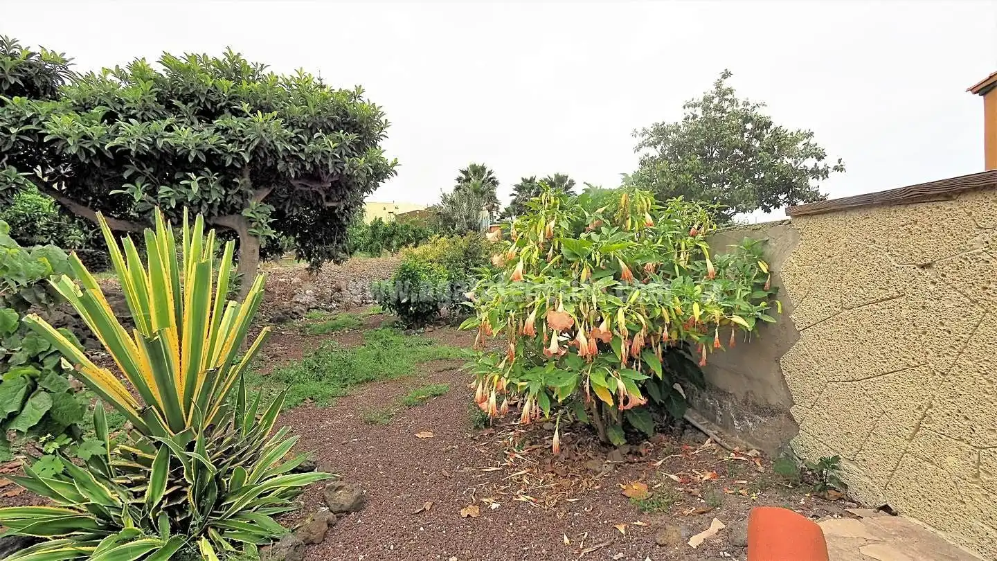 Maison rustique avec piscine à vendre à La Vega - El Amparo - Cueva del Viento, imagen 59