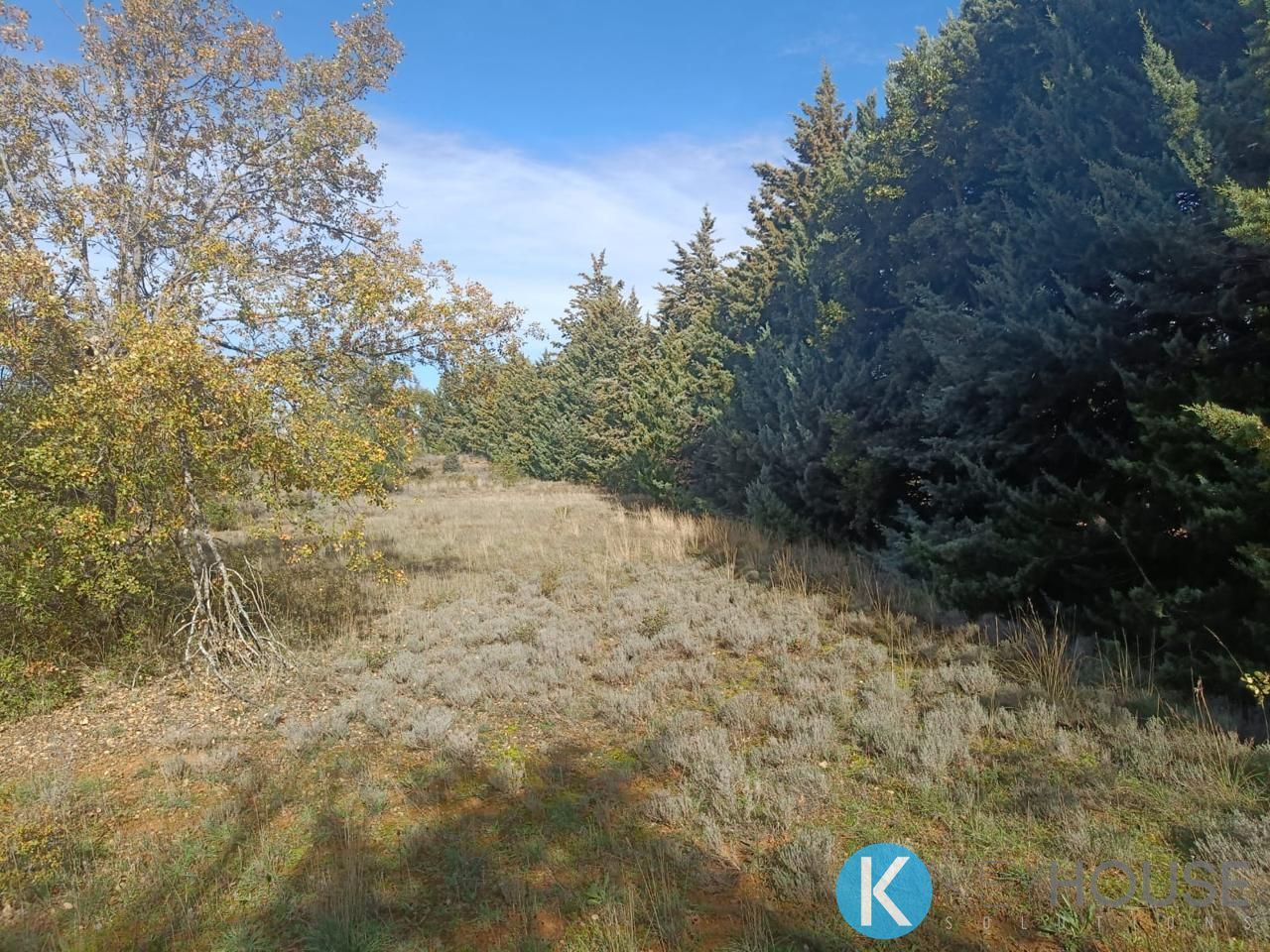 Land for sale in Pastrana
