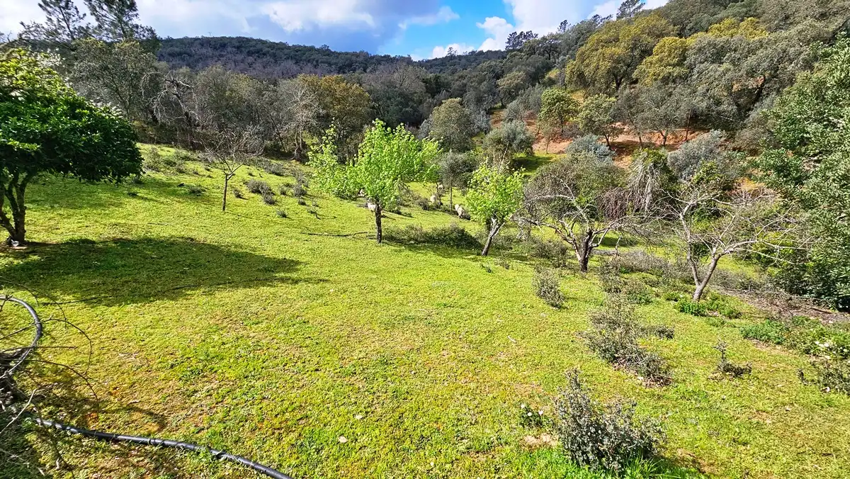 Finca rústica en venta en Cortegana con Jardín privado, Terraza y Piscina
