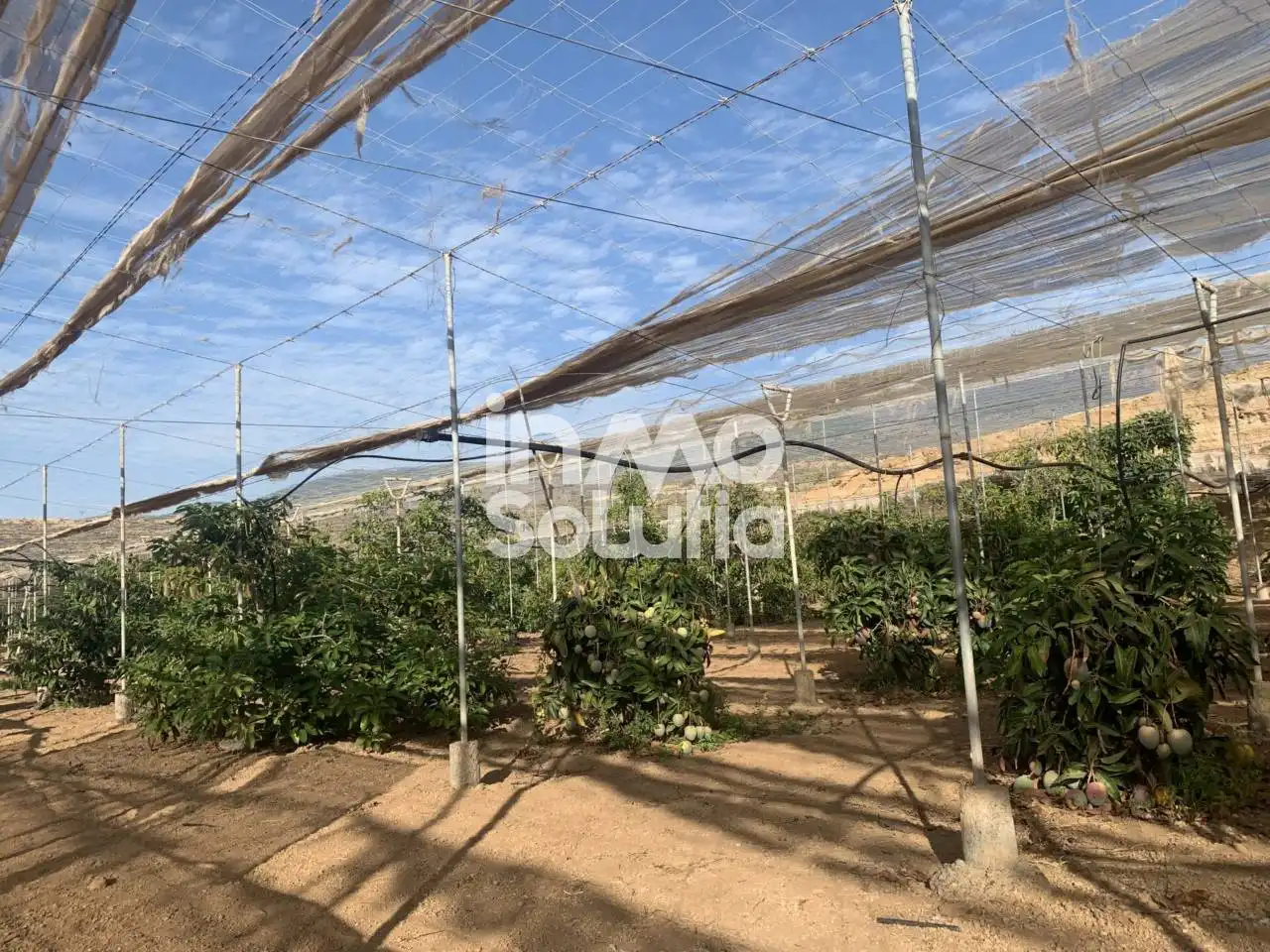 Terreno rustico in vendita a El Capitán