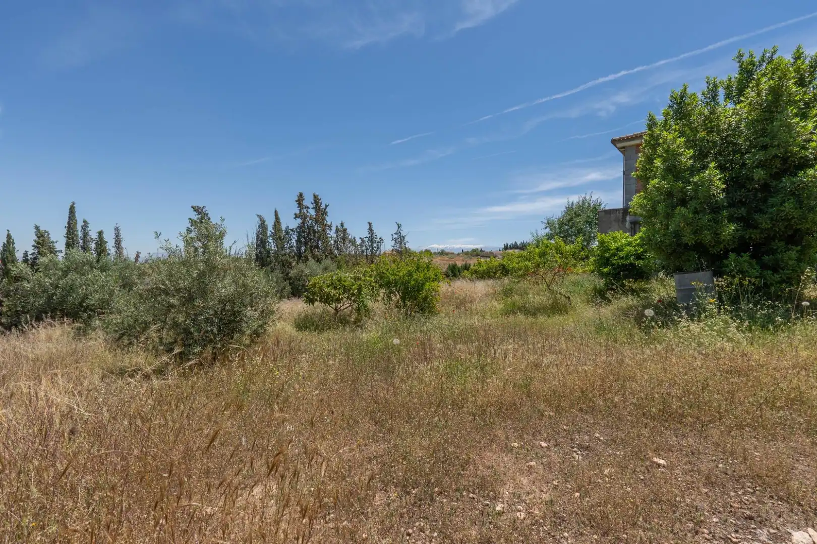 Casa o xalet en venda a Moraleda de Zafayona