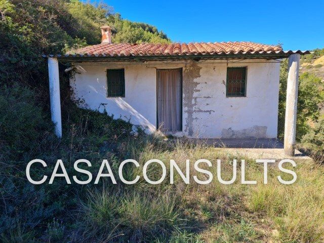 Exterior view of House or chalet for sale in Lucena del Cid