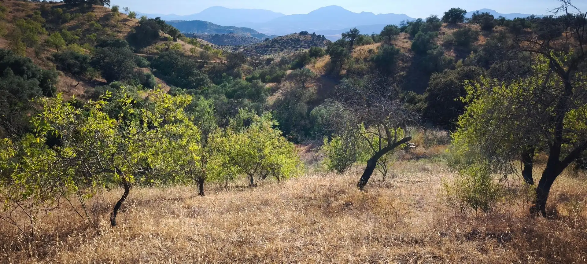 Terreni e lotti in vendita a Pizarra, imagen 17