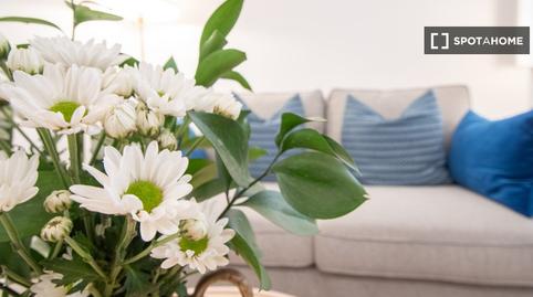 Photo 4 of Study to share in Alameda - Mentidero - Teatro Falla, Cádiz