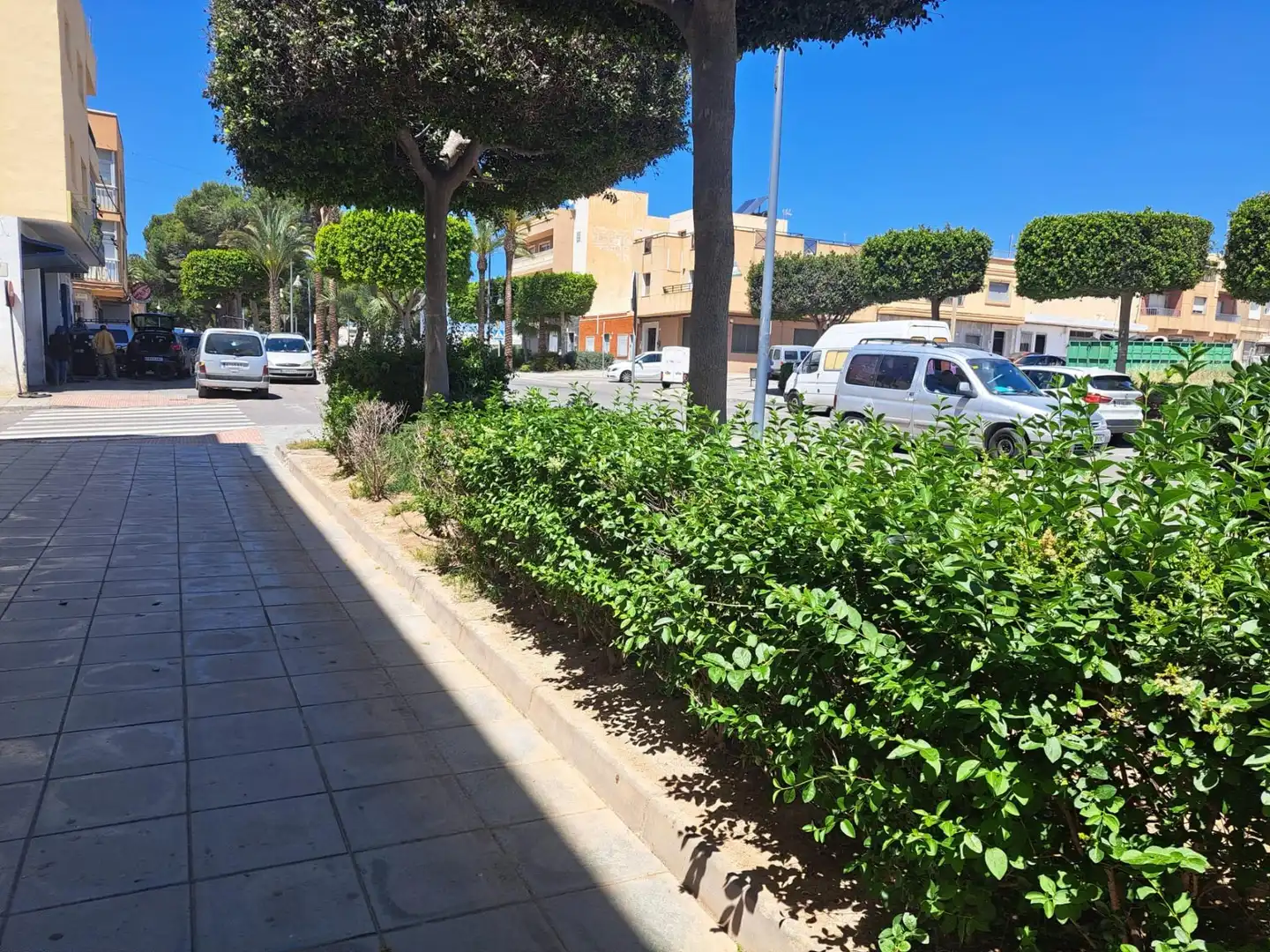 Individual for sale in El Ejido Ciudad, imagen 4
