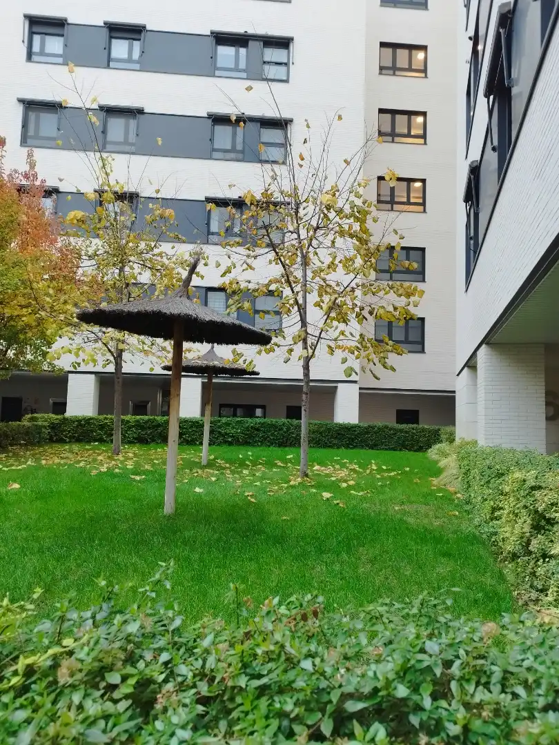 Vista exterior de Casa o xalet de lloguer en Madrid amb Aire condicionat, Calefacció i Jardí privat