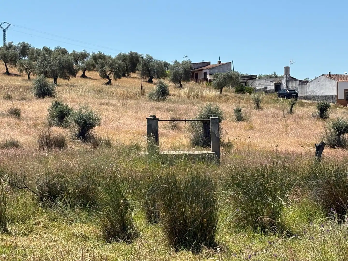 Terreni e lotti in vendita a Oeste, imagen 4