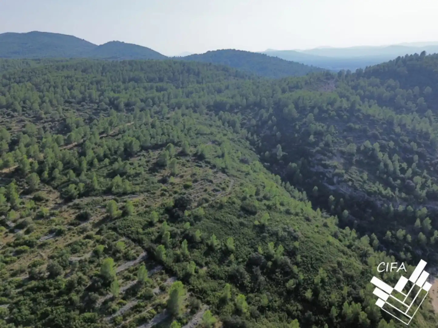 Terreno en venta en Sant Mateu