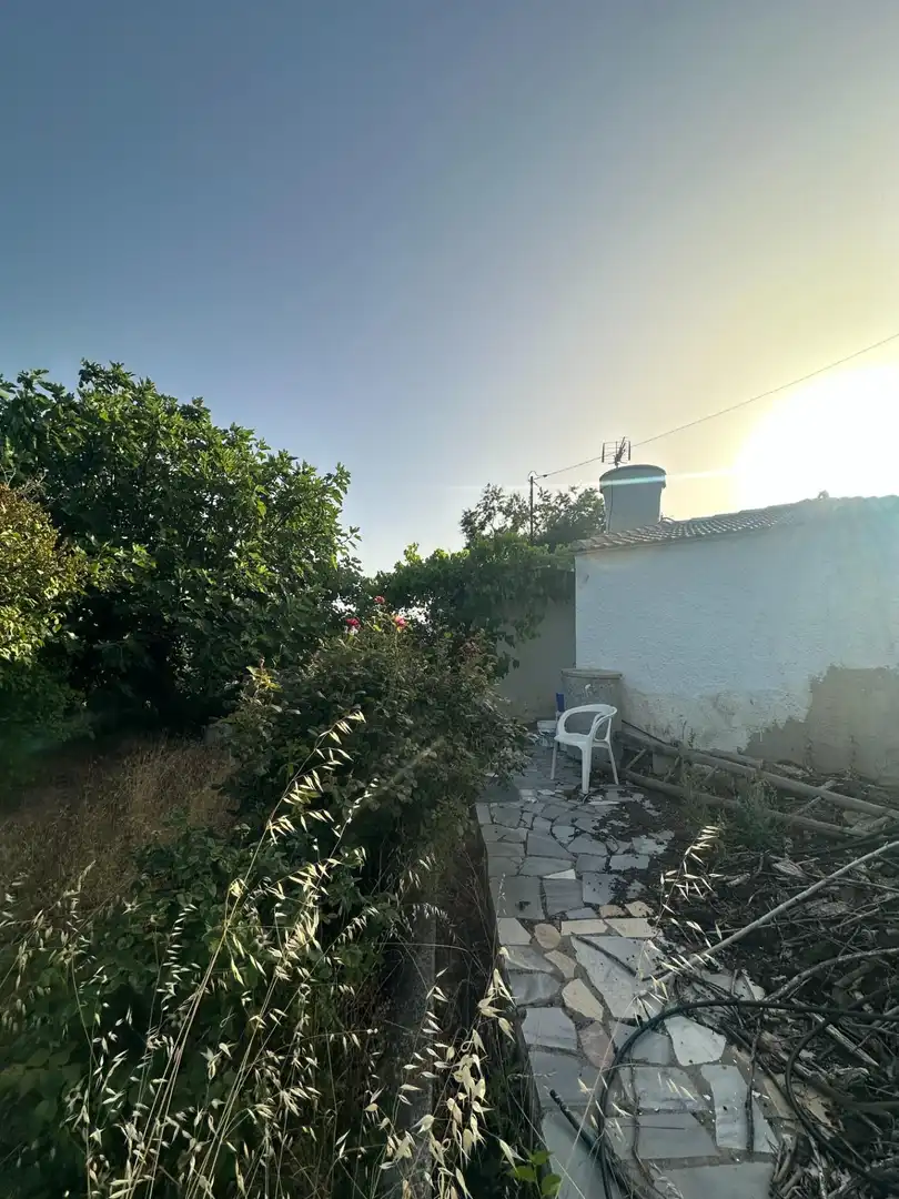 Jardín de Finca rústica en venta en Somontín
