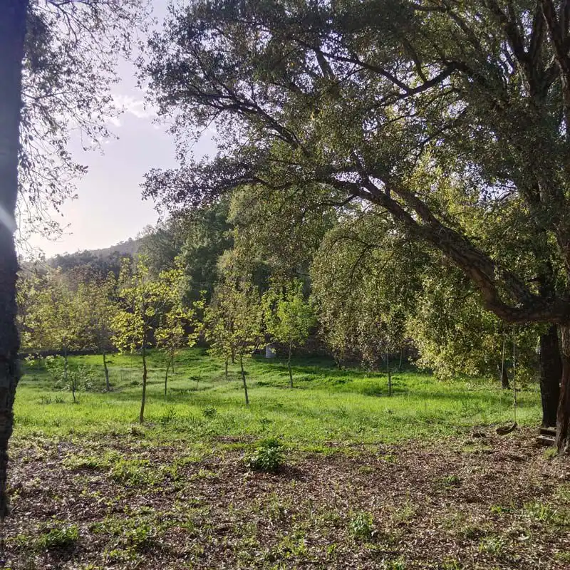Finca rústica en venta en Cortelazor