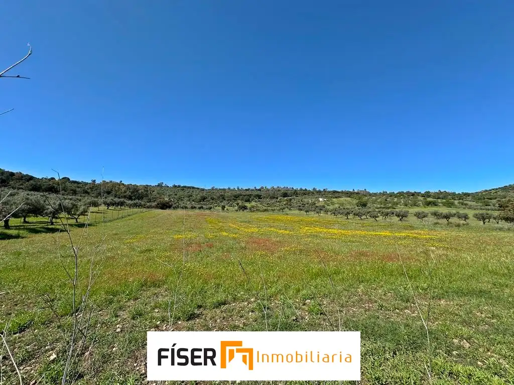 Terreno rustico in vendita a Diseminado Peralas
