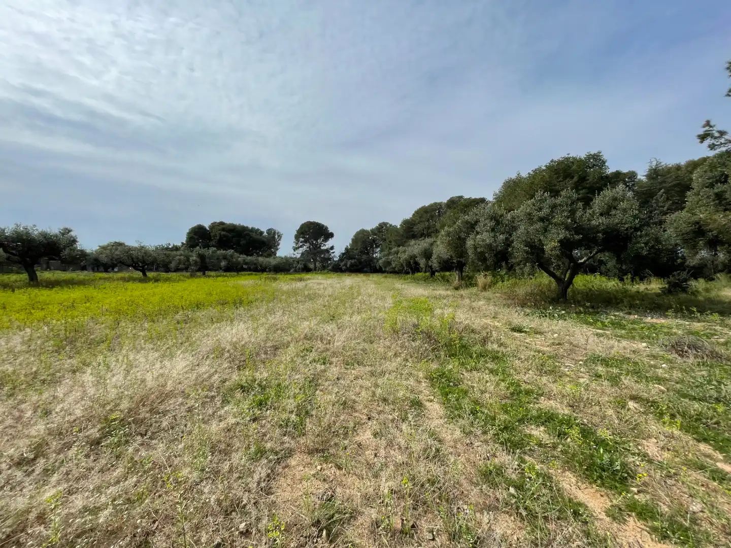 Grundstücke zum Verkauf in Cambrils