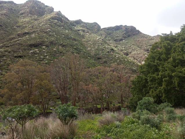 Terreno en Venta en Carretera Tahodio, 4 en Anaga