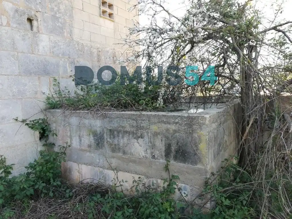 Rural land for sale in Pol. 5 Parcela 42, imagen 10