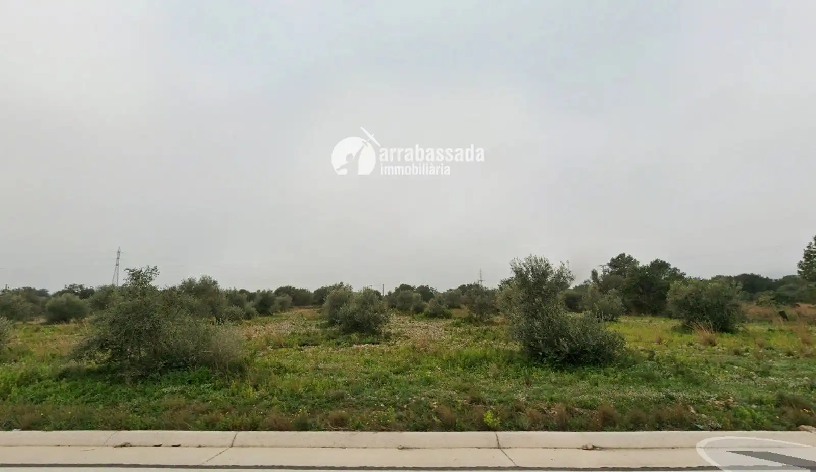 Terreny rústic en venda a Mont-roig del Camp, imagen 2