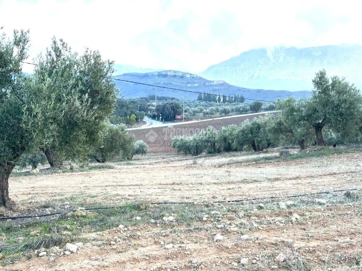 Terreni e lotti in vendita a Centro, imagen 12