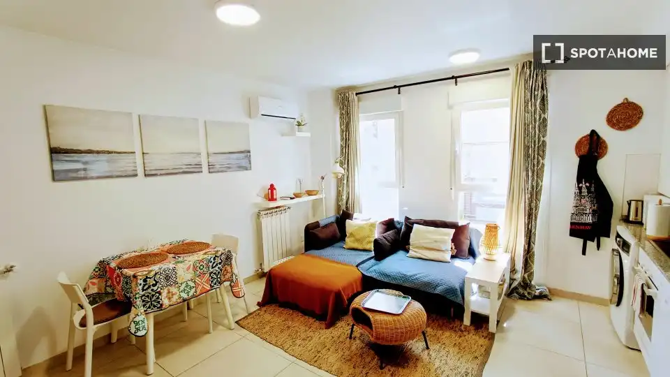 Piso de 1 dormitorio en alquiler en Berruguete, Madrid, image 2