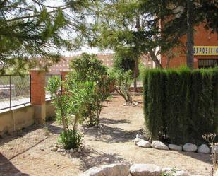 Jardí de Nau industrial de lloguer en San Vicente del Raspeig / Sant Vicent del Raspeig