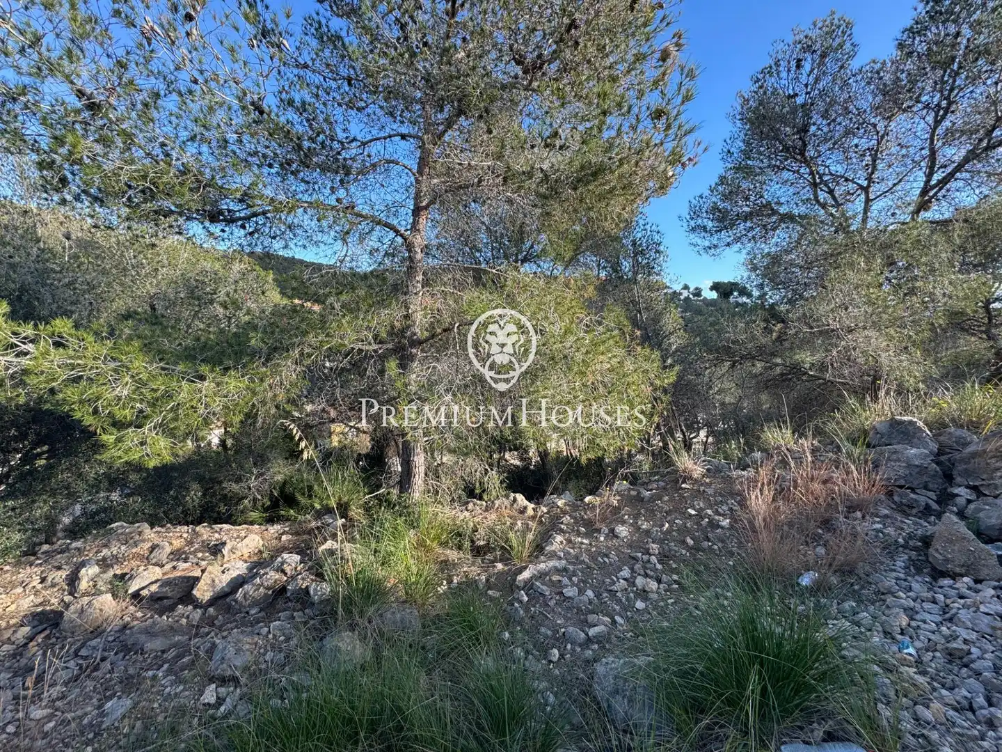 Residential land for sale in Mas Alba, imagen 14