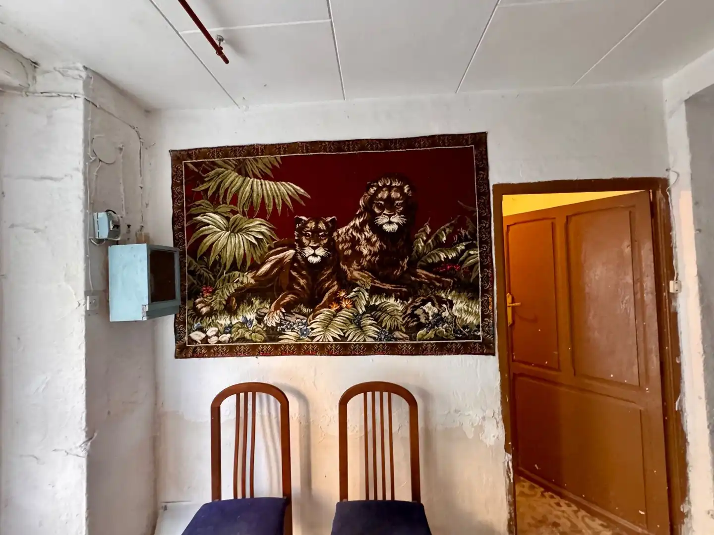 Maison à vendre à nou, imagen 5