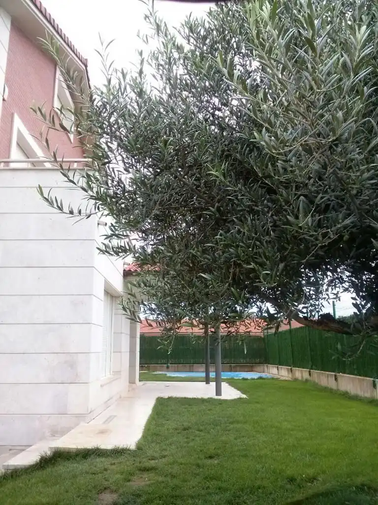 Xalet amb terrassa en venda a Santo Domingo de la Calzada, imagen 114