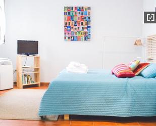 Bedroom of Flat to rent in  Madrid Capital  with Air Conditioner, Heating and Furnished