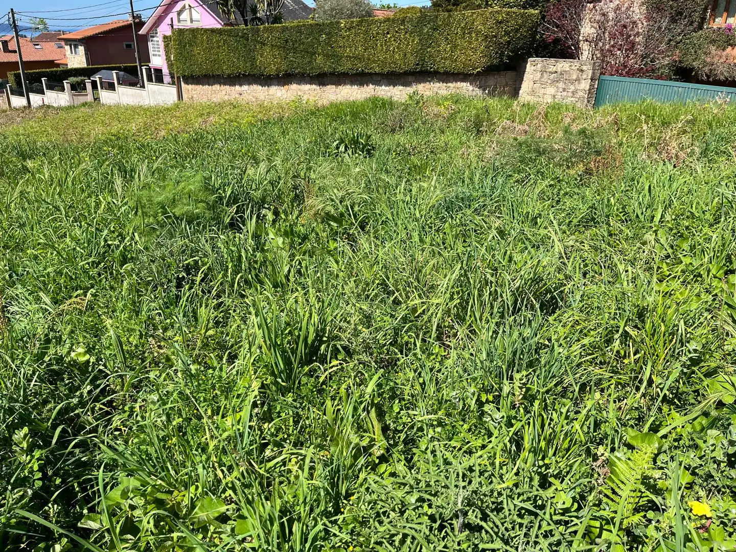 Terreni e lotti in vendita a Camiño da Escola 2, imagen 7
