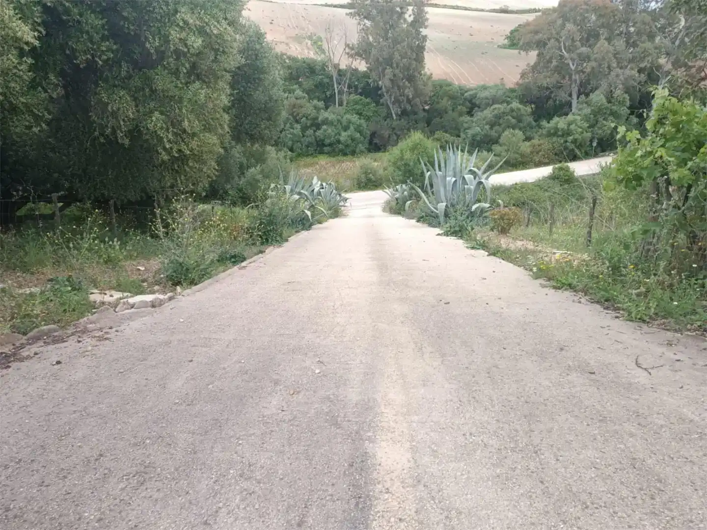Finca rústica en venda en San José del Valle amb Aire condicionat, Jardí privat i Traster