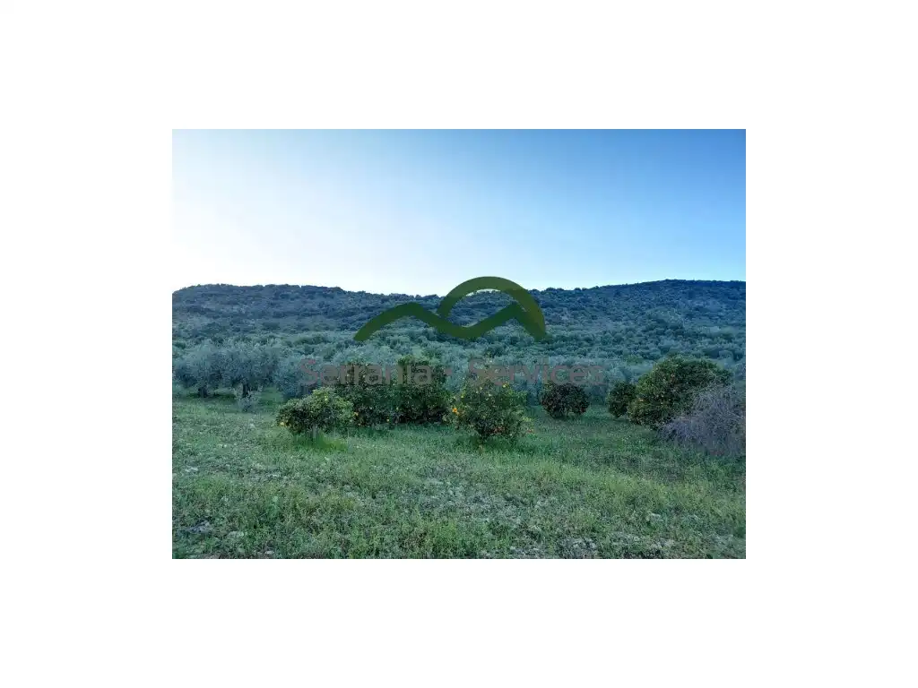 Casa rustica in vendita a Zahara, imagen 6