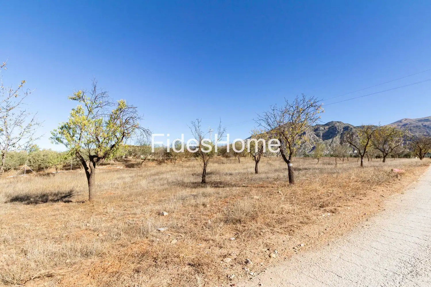 Rural land for sale in XC8V+JXJ Acequias 0, imagen 4