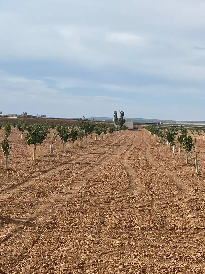 Terreno rustico in vendita a Calle García Pavón, imagen 9
