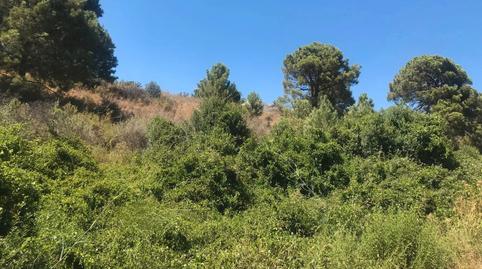 Foto 5 de Residencial en venta en Camino Nicola, El Velerín, Málaga