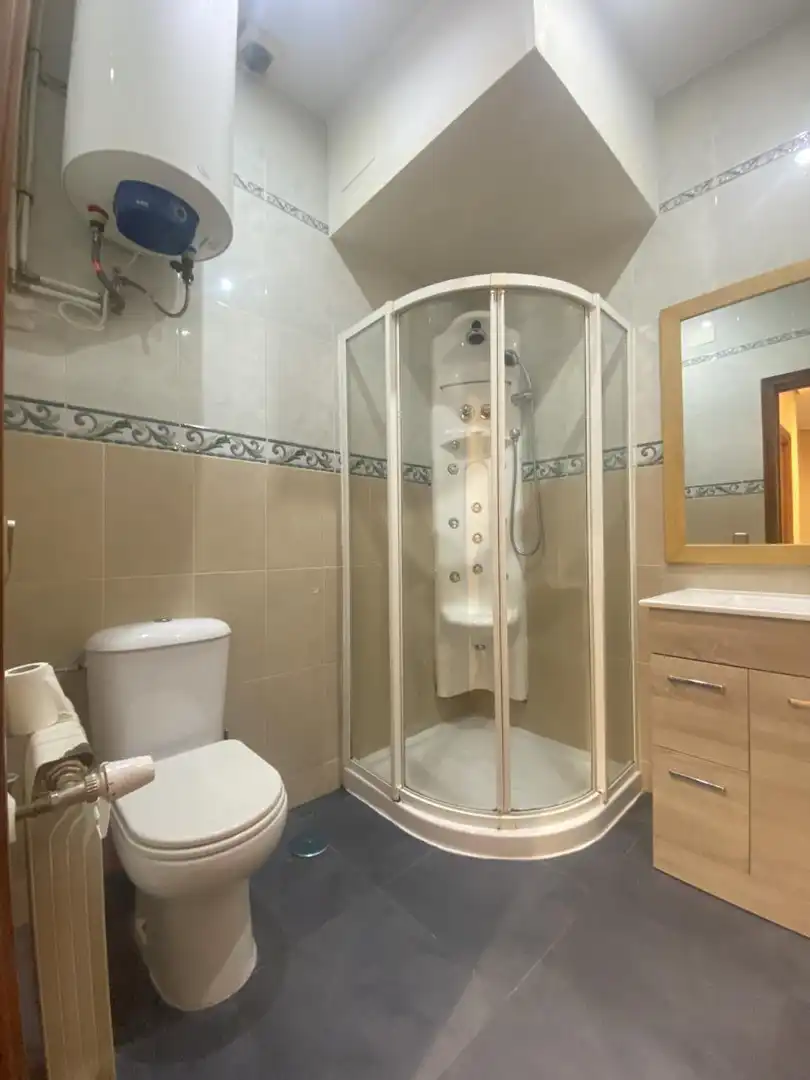 Bathroom of Flat for rent in Madrid  with Heating, Furnished and Internet