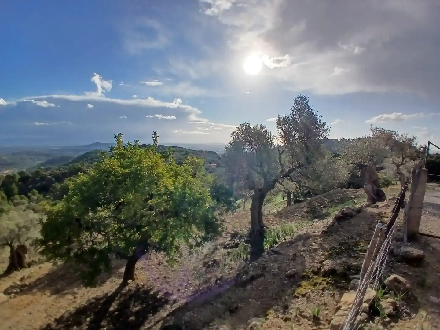 Finca rústica en venta en Mancor de la Vall