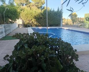 Swimming pool of House or chalet for sale in Elche / Elx  with Private garden, Terrace and Storage room