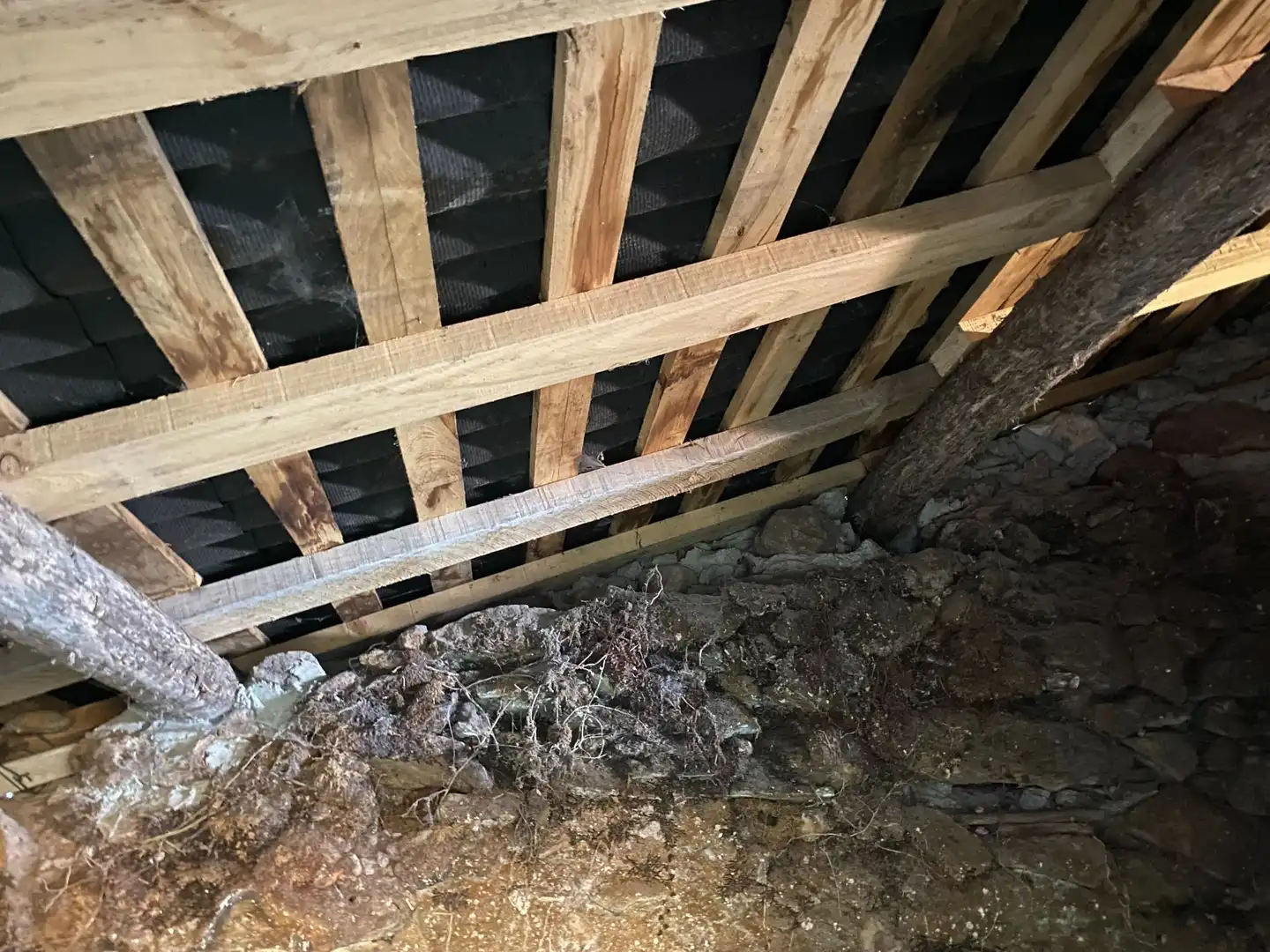 Terreno rustico in vendita a Cangas de Onís, imagen 12