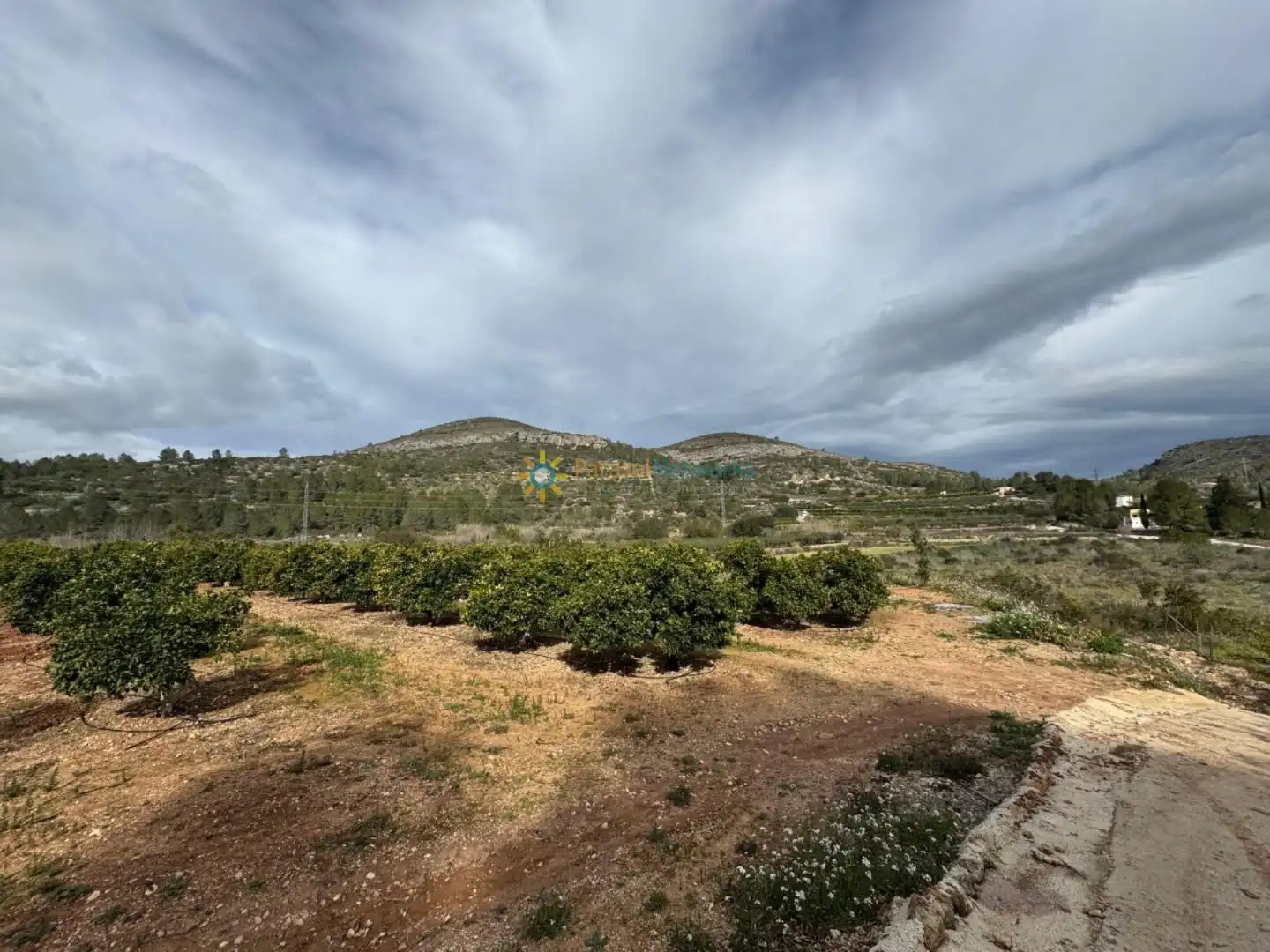 Terreno rustico in vendita a Benigànim, imagen 11