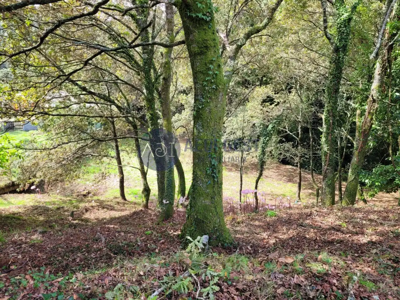 Casa rústica amb jardí en venda a Lugar Gandara, imagen 10