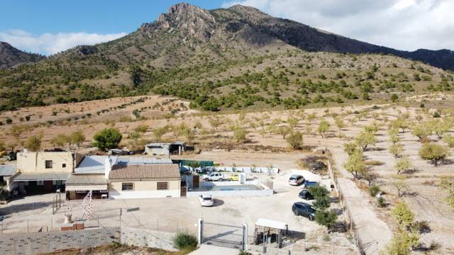 Finca rústica en Venta en Jumilla